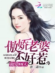 傲娇老婆不好惹：独爱88天